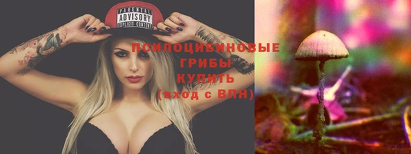 apvp Надым